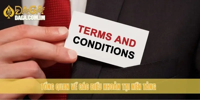 Điều Khoản Điều Kiện - Những Quy Định Cần Biết Tại Daga 1 Tổng quan về các điều khoản tại nền tảng