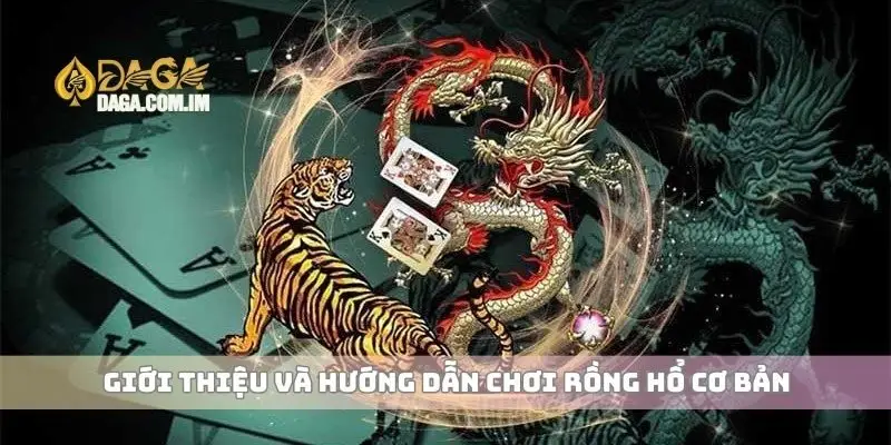 Hướng Dẫn Chơi Rồng Hổ Cách Chiến Thắng Hiệu Quả Nhất 1 Giới thiệu và hướng dẫn chơi Rồng Hổ cơ bản