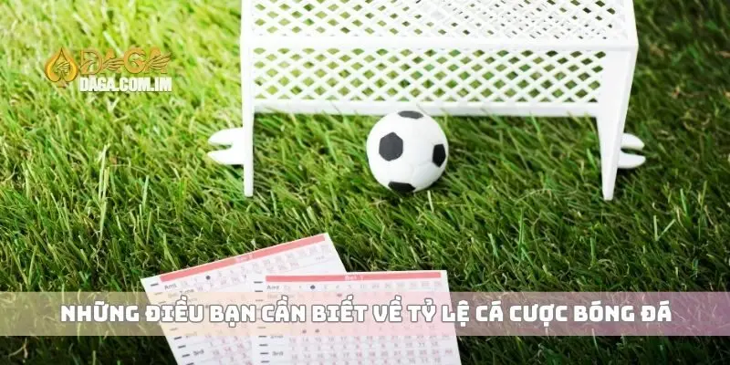Đọc Tỷ Lệ Cá Cược Bóng Đá Chuẩn Xác Giúp Bạn Chiến Thắng Dễ Dàng 1 Những điều bạn cần biết về tỷ lệ cá cược bóng đá